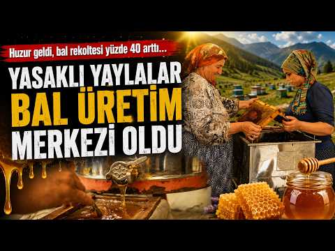 Huzur geldi, bal rekoltesi yüzde 40 arttı…