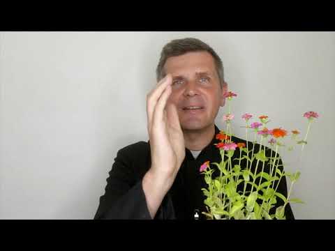 Mt 13,31: Das große Versprechen Jesu und die schwere Wartezeit