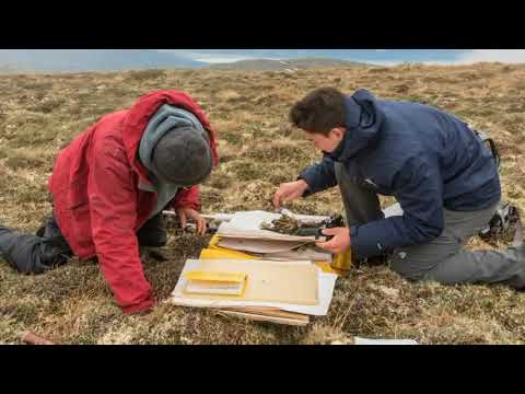 BioBlitz Discoveries