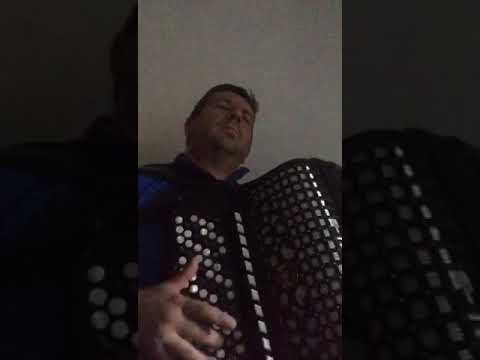 Bojan Nesic-Preslica kolo(Aleksandar Todorovic Krnjevac)