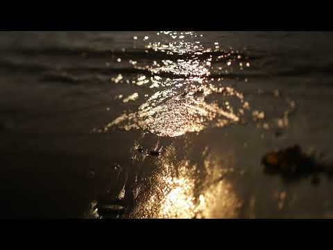 Libra 10th  August Weekly Astrology Horoscope  2020