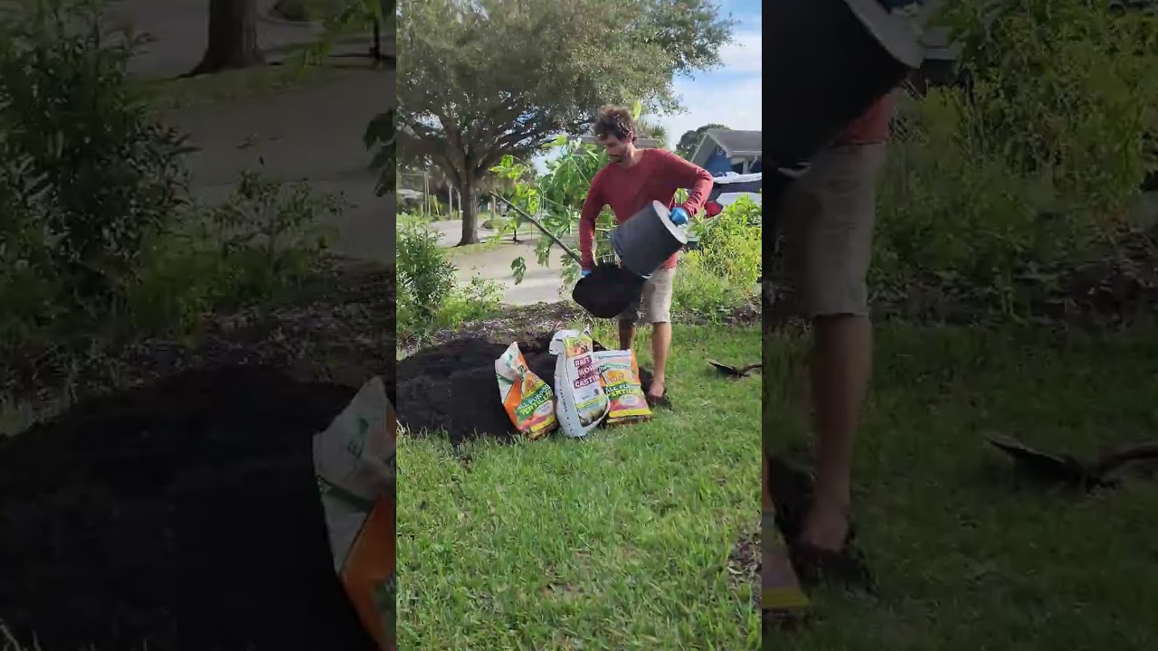 This One Book Will Make You a Master Gardener Overnight!