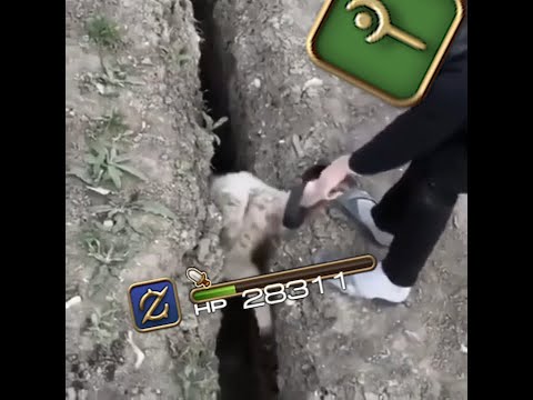 Healing Gunbreakers Be Like #FFXIV