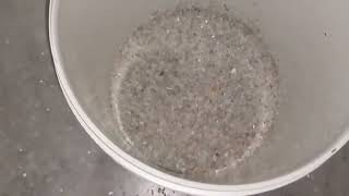 Seletora De Pet - Vídeo