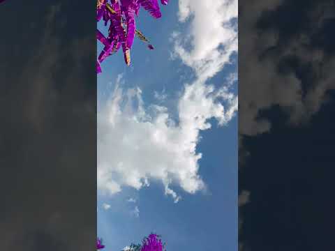 #tamil #love #nature🌲🌳🍀🌿🌱🌷🌺💜💟