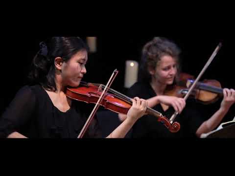L.v.Beethoven: String Quartet No.1 in F major (IV)