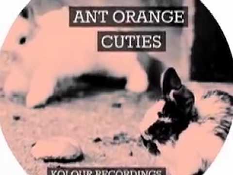 Ant Orange - Fruitrition