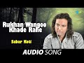 Rukhan Wangoo Khade Rahe Sabar Koti Old Punjabi Songs Punjabi Songs 2022