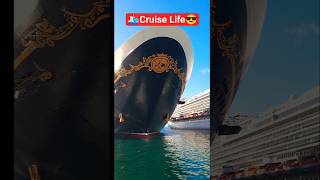 🛳Cruiseship Pull Up😎