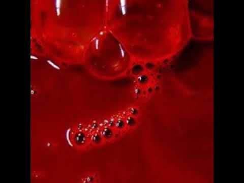 N3fi - free spirit (blood boils) [prod. heiho]