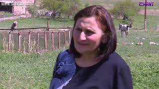 Առավոտը Շանթում-ԵՄ ՓՄՁ զարգացման ծրագրեր