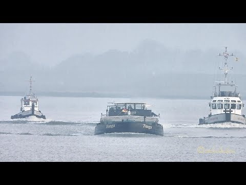 Regatta Emden style GMS TONGA riverbarge vs tugs Binnenschiff vs GRUNO Schlepper