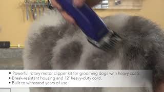 EasyClip Groomâ„¢ Detachable Blade Clipper, 21485 MBG-2