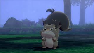 【ポケモン剣盾#2】出会い