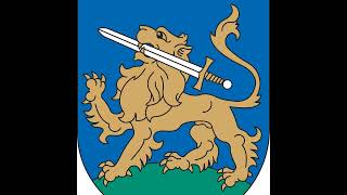 Nevyriausybinių organizacijų projektų vertinimo komisijos posėdis