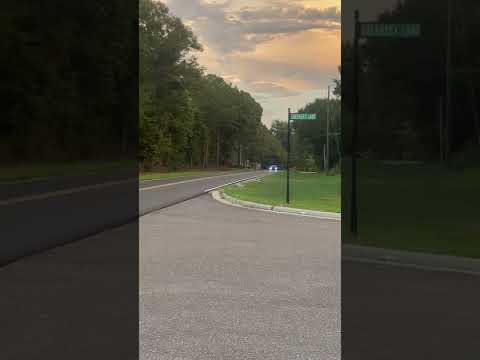 4.2 Kenne Bell GT500 screaming on c16