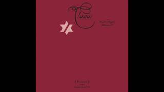 John Zorn: Flaga - Shoftiel (The Book Of Angels vol. 27)