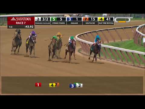 Promises Fulfilled - 2018 - The Amsterdam Stakes