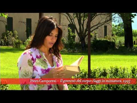 Parlando di Barbanera - Piero Camporesi - Il governo del corpo - Saggi in miniatura, 1995 - II