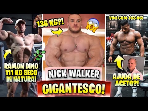 NICK WALKER MAIOR DO QUE NUNCA! RAMON 111 KG SECO! ZANCA SHAPE EM OFF! VINI MATHEUS COM ACETO?