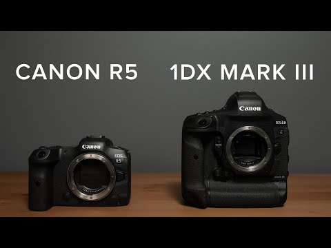 CANON R5 VS 1DX Mark III | Video Quality, Overheating, and Real World Use