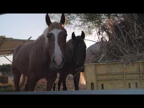 find me 123456789 - tzach gefen