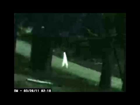 download lagu mp3 mp4 Nightwalker, download lagu Nightwalker gratis, unduh video klip Nightwalker