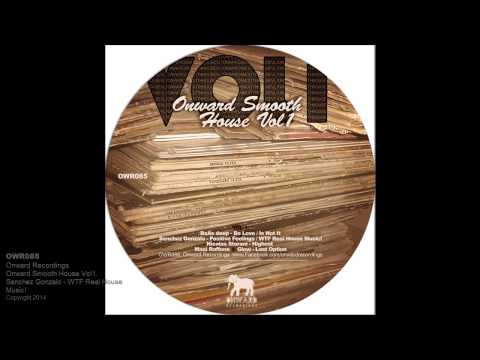 OWR085 - Onward Recordings - Sanchez Gonzalo - WTF Real House Music!