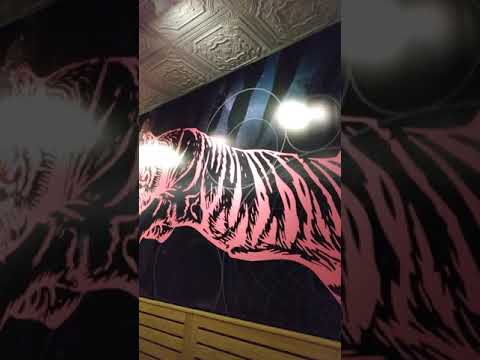 December 17, 2020 Lech Alex Bajan food expert at Mama Tigre Mexican Restaurant Oakton Virginia