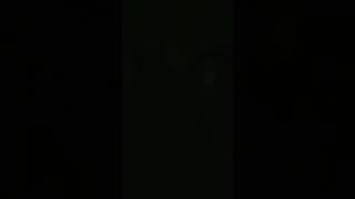 Birdtalker "Want" ATL Eddie's Attic