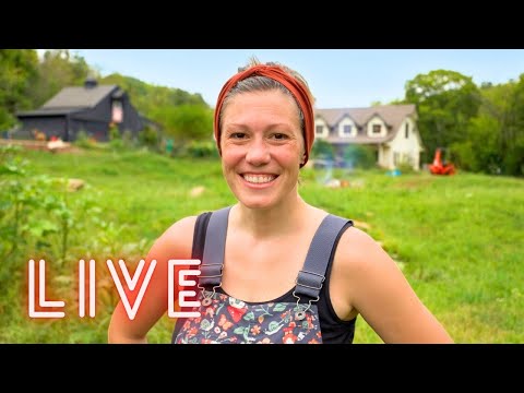 Live Q&A: Ask Me (Almost) Anything! | January AOAT Livestream