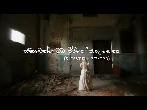 සමාවෙන්න ඔබ ජීවිතේ පැතු කෙනා (slowed + reverb)