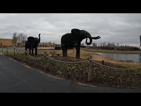Creation Museum & Ark Encounter!