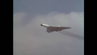 Ambient GAS - Königsforst #5