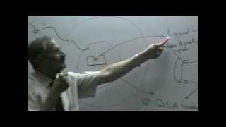 Dr Maged Endocrine 13