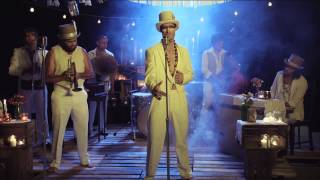 The Cat Empire - Brighter Than Gold video