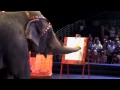 Asia The Elephant At The Barnum Bailey Circus Preshow