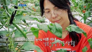 [나는 농부다 153회] 토마토 부부의 행복이 방울방울 2부