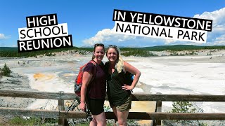 YELLOWSTONE CALDERA | wild swimming at Firehole River, Norris Geyser, cinnamon bear and Lower Falls