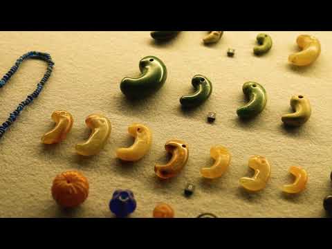 國學院大學PR動画