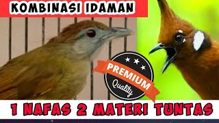 Download lagu MASTERAN WAJIB CUCAK IJO KOMBINASI KAPAS TEMBAK DAN CILILIN mp3