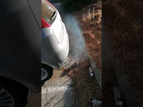 Grande Punto 1.3 mj ilk çalıştığı zaman bu kadar duman atması sizce normal mi? #shorts #short #funny