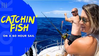 Catchin' Fish on a 60 Hour Sail! Lazy Gecko Sailing VLOG 152