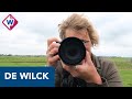 Mooiste plekje van de regio: De Wilck - OMROEP WEST