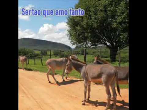 Zé Viola e Valdir Teles - Eu Também sou Nordestino/Do Jeito que Vocês São.