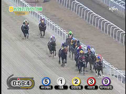 2009 Chairman of NACF Cup - Lucky Mountain