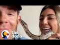 Python Abandoned By Her Owners Feels So Much Better After A Bubble Bath | The Dodo