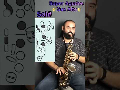 Super Agudos Sax Alto em 19 segundos! #saxofone #saxalto #sax #saxofonista #rumoaos10k #auladesax