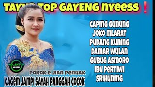 Download lagu TAYUB TOP GAYENG NYESSS KAGEM JAMPI SAYAH SAK ESTU CUOCOK POKOK.E JIAN PENUAK  mp3 Download lagu TAYUB TOP GAYENG NYESSS KAGEM JAMPI SAYAH SAK ESTU CUOCOK POKOK.E JIAN PENUAK  mp3