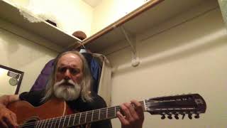 GEORGIA RAG BLIND WILLIE McTELL COVER fff